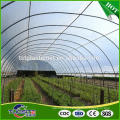 Custom wholesale promotional plastic film multi span greenhouse